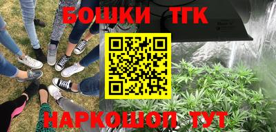 PSILOCYBIN Краснодар